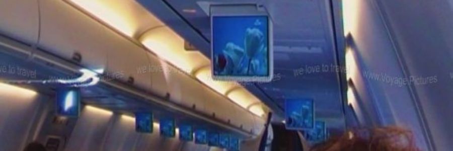 Travel Pictures KLM Flight to Amsterdam