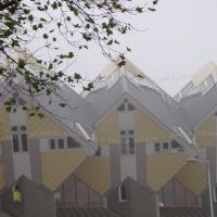Things to Do in Rotterdam City & SS Rotterdam Ship