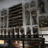 Things to Do in Capuchin Catacombs
