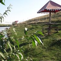 Things to Do in Valley of the Ponds