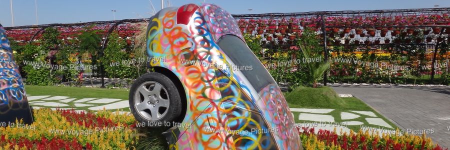 Travel Pictures Dubai Miracle Garden
