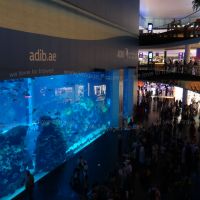 Things to Do in The Dubai Mall – Largest Shopping Mall