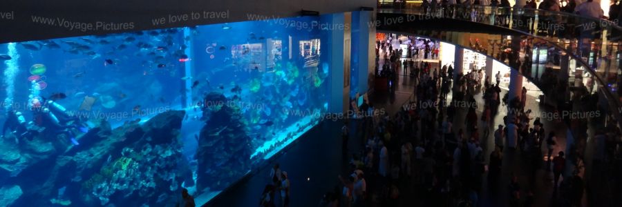 Travel Pictures The Dubai Mall – Largest Shopping Mall