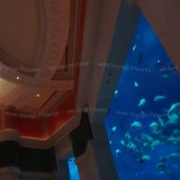 Things to Do in The Lost Chambers Aquarium