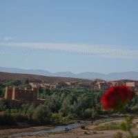 Things to Do in Rose Valley & Skoura Oasis