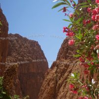 Things to Do in Todgha Valley & Todgha Gorge